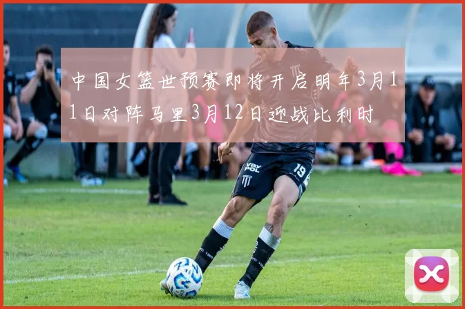 中国女篮世预赛即将开启明年3月11日对阵马里3月12日迎战比利时