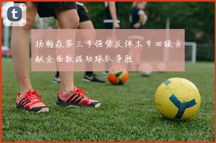 杨瀚森第三节强势反弹末节回暖贡献全面数据助球队争胜