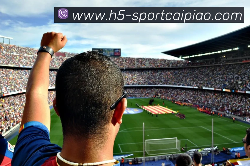 多媒体互动体验